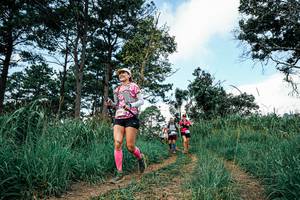 BIB: 
                            <button type="button" onclick="openModal(26038468)" class="btn btn-primary btn-sm float-right btn-popup" data-toggle="modal" data-target=".modal-high-quality">
                        <i class="fas fa-shopping-cart"></i> Add to Cart
                    </button>
                                            <button type="button" onclick="isThisMe(26038468, true)" class="btn btn-success btn-sm float-right btn-popup btn-isme hidden" data-toggle="tooltip" data-placement="bottom" title="นี่คือรูปของคุณใช่ไหม คลิกที่นี่เพื่อเอาเข้าอัลบั้ม">
                        <i class="fas fa-plus"></i> Add to album
                    </button>
                    <button type="button" onclick="isThisMe(26038468, false)" class="btn btn-warning btn-sm float-right btn-popup btn-isnotme hidden">
                        <i class="fas fa-ban"></i> Remove from album
                    </button>